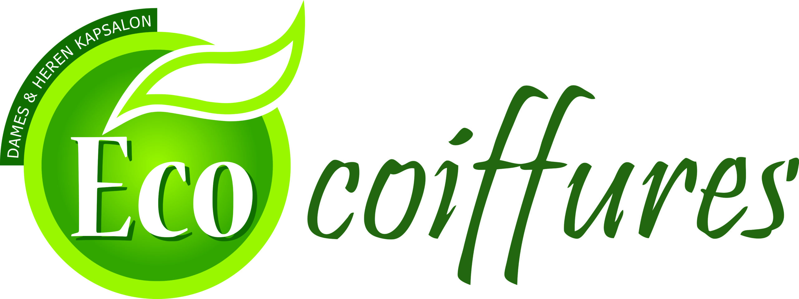 Crafting Captivating Headlines: Your awesome post title goes here Logo Eco Coiffures Compleet Scaled 1